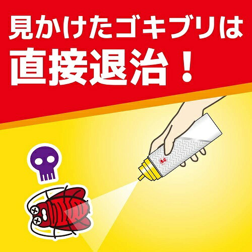 金鳥コックローチゴキブリがいなくなるスプレー(200mL)/大日本除虫菊