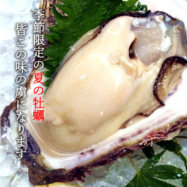 いわがき 鳥取県産 天然岩牡蠣 約2kg 6 7個 夏輝 なつき 帯なし 8月まで 大サイズ ブランド牡蠣 生食用 焼き牡蠣 カキフライ 大ぶり岩がき カキ 産地直送 朝採れ お中元 父の日ギフト 送料無料 septicin Com