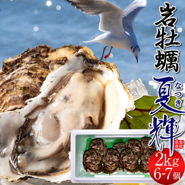 【早割】牡蠣 岩牡蠣 2kg［6-7個入］天然 殻付き生カキ 訳ありブランド帯なし 規格外夏輝 鳥取県産 いわがき なつき 生食用 海のミルク 焼き牡蠣 カキフライ 大ぶり 岩がき［お中元 贈り物 御中元ギフト］