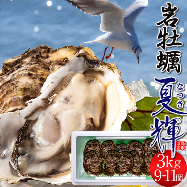 牡蠣【早期割引】岩牡蠣 3kg［9-11個入］天然 殻付き生カキ 訳ありブランド帯なし 規格外夏輝 鳥取県産 いわがき なつき 生食用 海のミルク 焼き牡蠣 カキフライ 大ぶり 岩がき［お中元 贈り物 御中元ギフト］