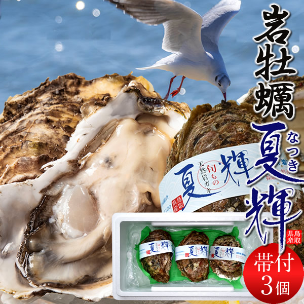 牡蠣【早期割引】特大岩牡蠣 夏輝 3個 天然 殻付き生カキ［ブランド認定帯付き］鳥取県産 いわがき なつき 生食用 海のミルク 焼き牡蠣 カキフライ 大ぶり 岩がき［お中元 贈り物 御中元ギフト］