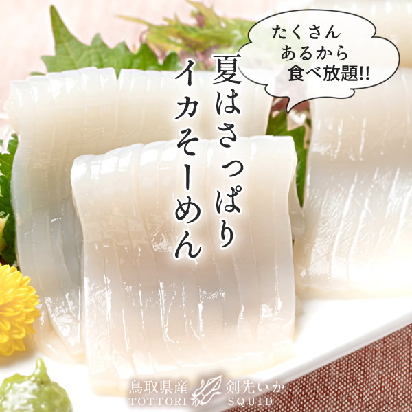 いか 白イカ 白いか 生 鳥取県産 烏賊 剣先イカ ケンサキイカ イカの女王 15杯 約4 0kg q お刺身 詰め合わせ イカソーメン いかさし いか焼き 生食用 朝どれ 日本海 山陰沖 活きがいい 季節限定 ふるさと チルド 産地直送 漁港直送 高級ギフト お中元ギフト 送料無料