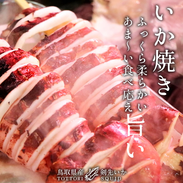 いか 白イカ 白いか 生 鳥取県産 烏賊 剣先イカ ケンサキイカ イカの女王 15杯 約4 0kg q お刺身 詰め合わせ イカソーメン いかさし いか焼き 生食用 朝どれ 日本海 山陰沖 活きがいい 季節限定 ふるさと チルド 産地直送 漁港直送 高級ギフト お中元ギフト 送料無料