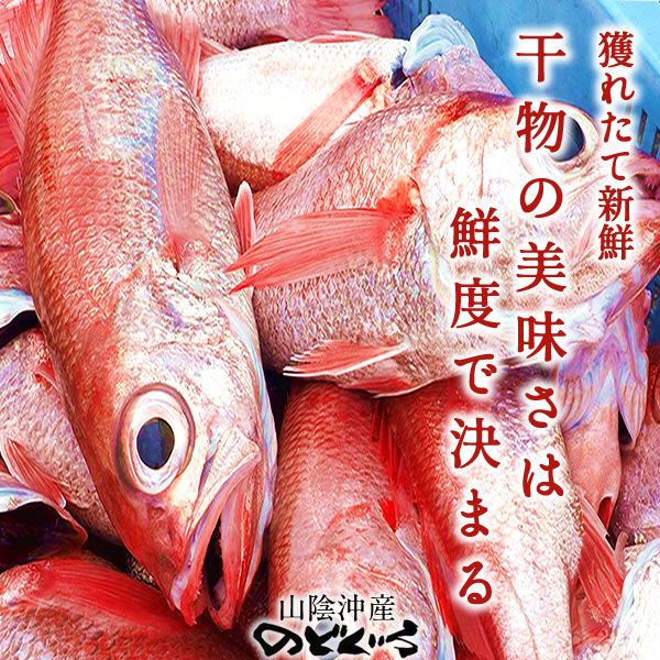 市場 のどぐろ 干物 山陰産 幻の高級魚 開き 喉黒 ノドグロ 日本海 アカムツ ひもの 赤ムツ セット ブランド 約120g×8枚入 一夜干し  脂のり抜群