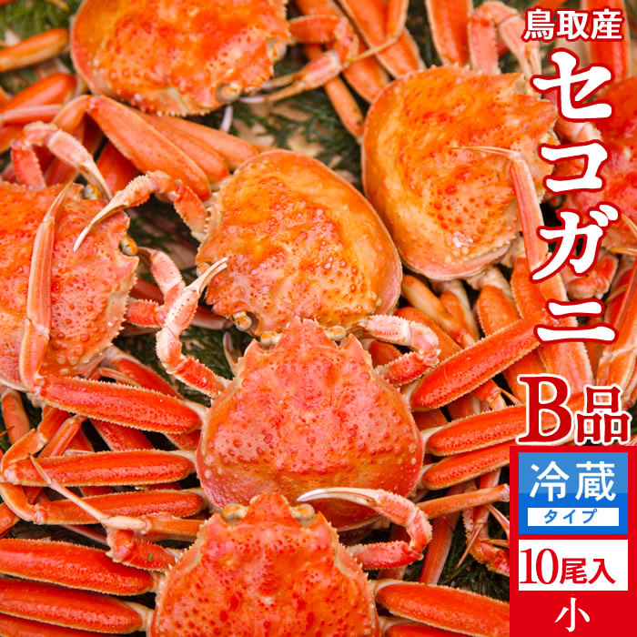 香箱がに 松葉がにメスかに 訳あり セコガニ B品 小1kg