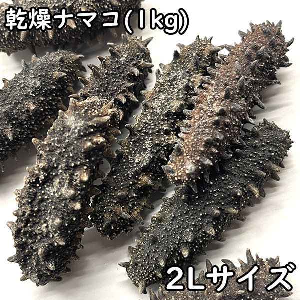 乾燥なまこ 楽天市場】【関西産】B級品なまこ 1KG入り Mサイズ(5g以上