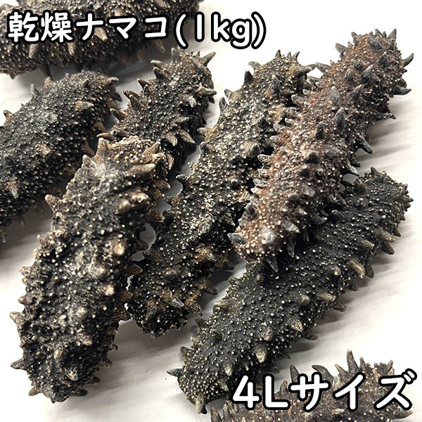 【専用出品】乾燥なまこ(1kg) 乾燥ナマコ特A級品Sサイズ100g(化粧箱入り) 1本4g〜6g前後(特A
