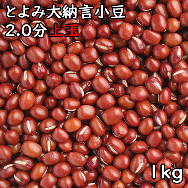 楽天市場】紫花豆 (紫花いんげん) (1kg) 令和3年 北海道産 【メール便対応/1kgまで】 : 松葉屋