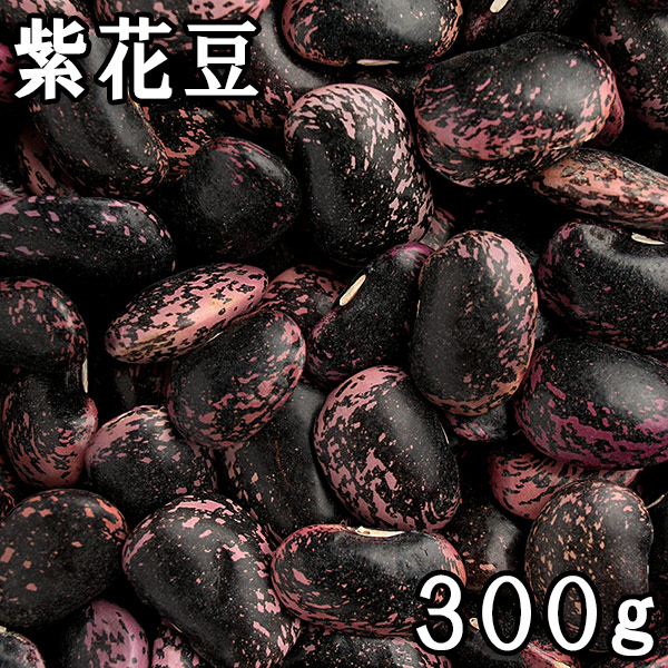 令和6年産】1kg 北海道産 大福豆 白いんげん豆 十六寸豆 | 通販