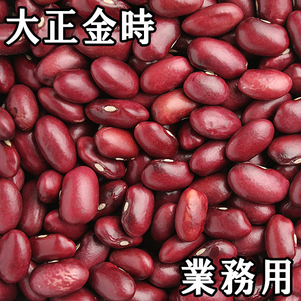 大正金時 (30kg業務用) 令和7年 北海道産 【送料無料】