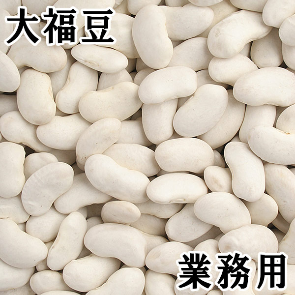 大福豆(白いんげん) (30kg) 令和7年産北海道産 【送料無料】｜松葉屋