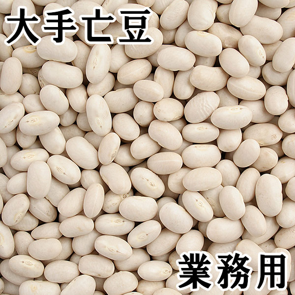 大手亡 (白いんげん) (令和7年）（30kg業務用) 北海道産 【送料無料】