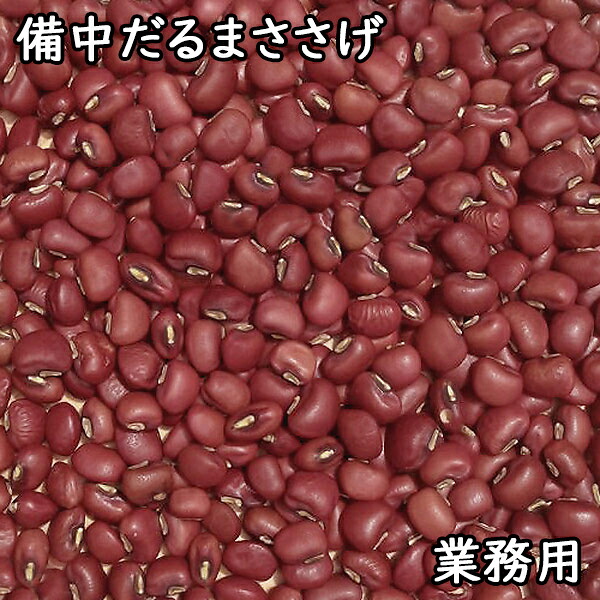 備中だるまささげ (5kg業務用) 令和7年 岡山県産 【送料無料】