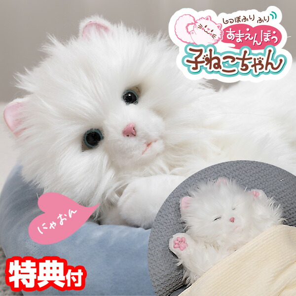 綿の着物を着た甘えん坊の妹猫ちゃん | iichi 日々の暮らしを