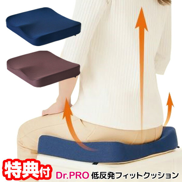 クッション・座布団 D.R Amazon.co.jp: LIworld Dr. Seat GX 低反発クッション 腰 椅子