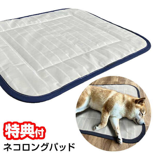 楽天市場】座ると・・・極 （きわみ）約35cm×35cm リバーシブル 座布団