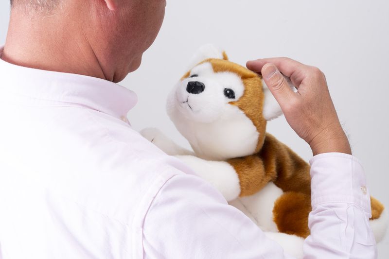 【楽天市場】《200円クーポン配布》 なでなでワンちゃん秋田犬 HACHI ハチ 撫でると鳴くぬいぐるみ なでなで