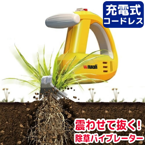 扇風機特集