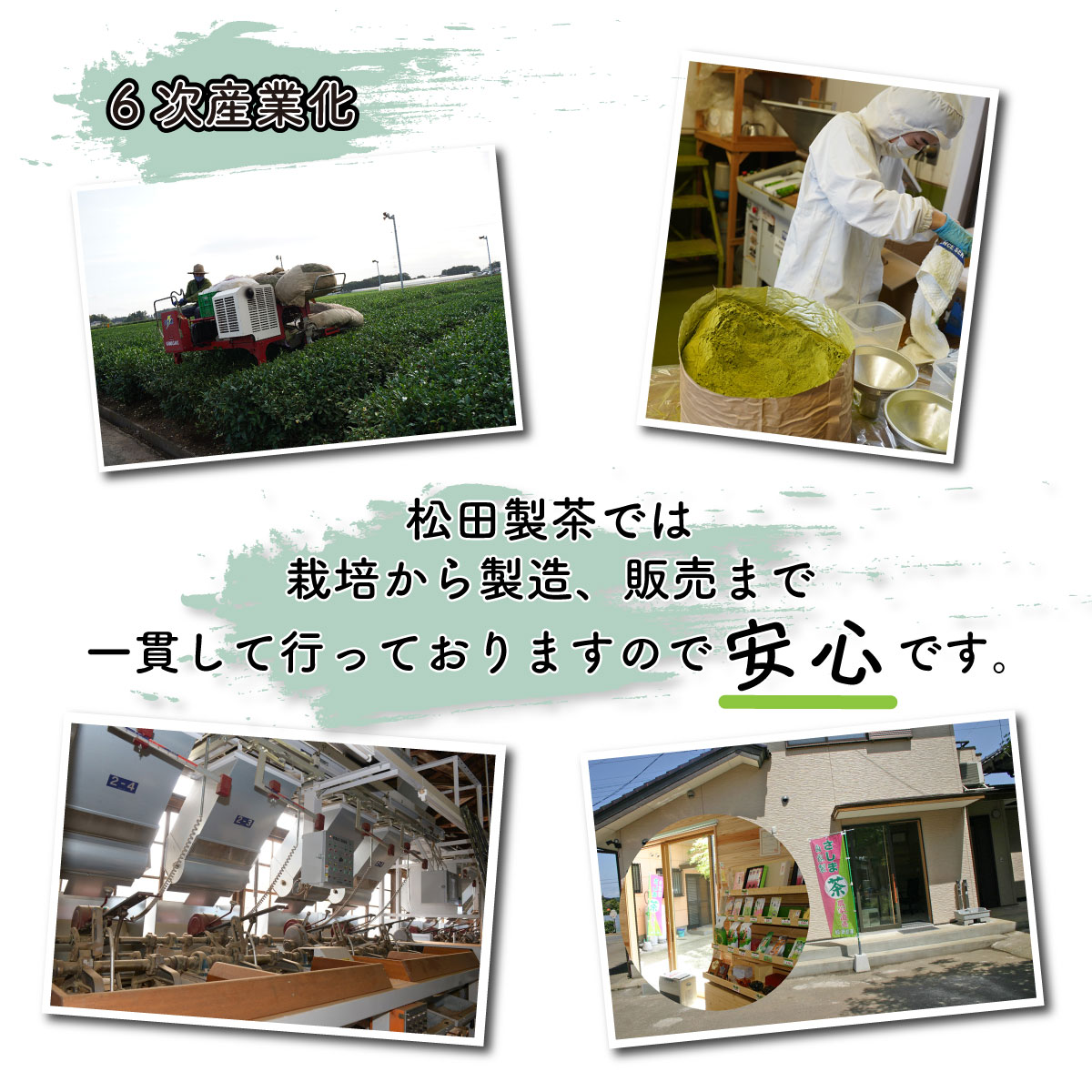 お茶のフィナンシェギフト3種15個セット緑茶ほうじ茶和紅茶ギフト包装熨斗対応松田製茶茨城猿島茶内祝誕生日プレゼントお菓子スイーツ洋菓子手土産贈り物お返し出産結婚お土産ご挨拶お供え御歳暮