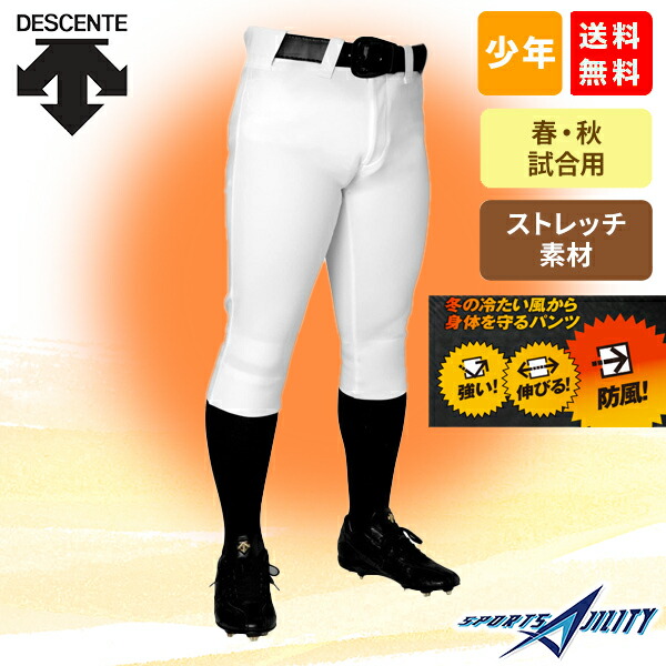 野球 野球着 シャツ ズボン 帽子 靴下 ベルト まとめ売り DESCENTE デサント 野球 ベースボールシャツ 立衿 2ボタン Tシャツ DB110B
