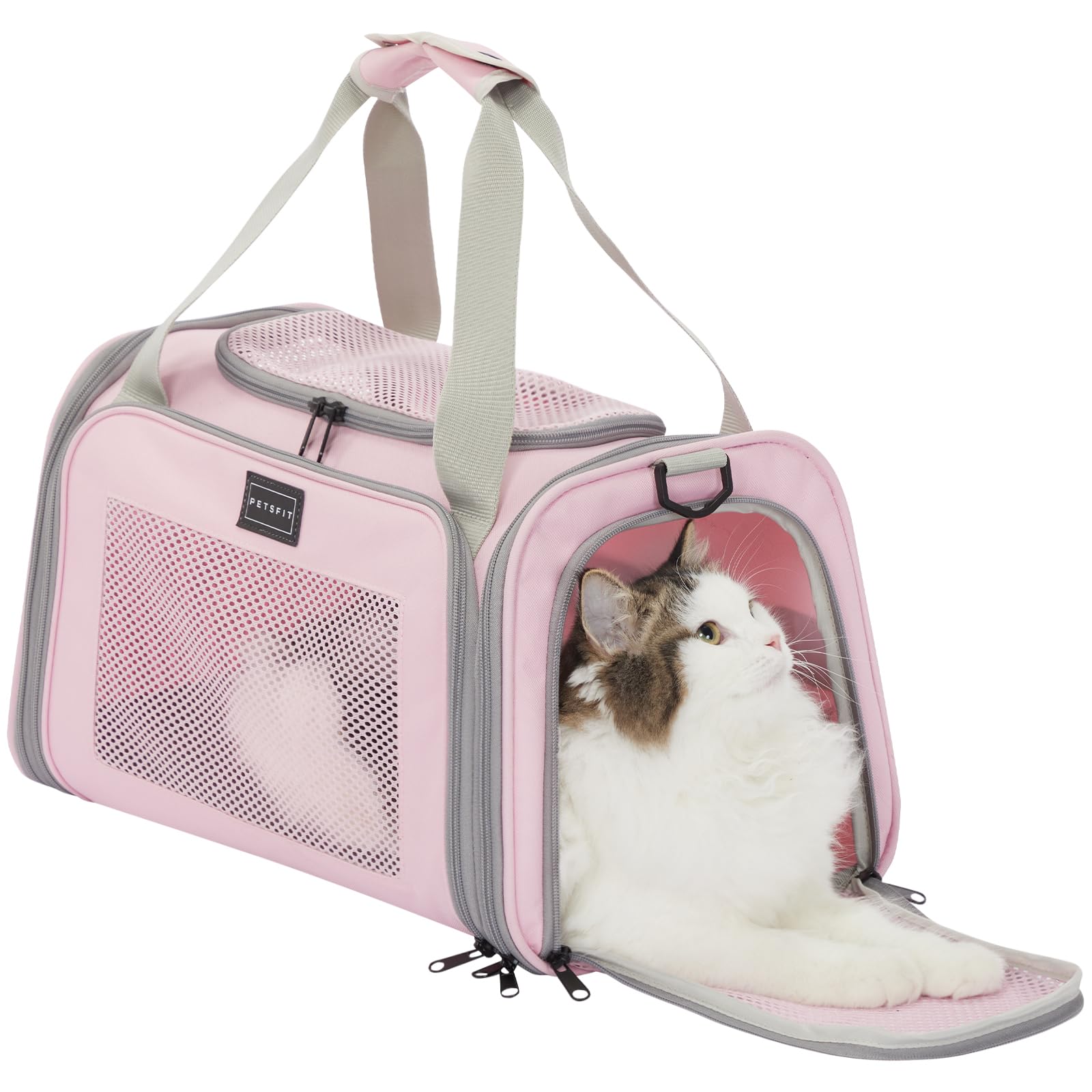 新品　未使用　ジェラピケ　ペット　キャリーバッグ　セット　まとめ　おまけ付き gelato pique ペットキャリー 「CAT＆DOG」「販路限定商品」ミニ