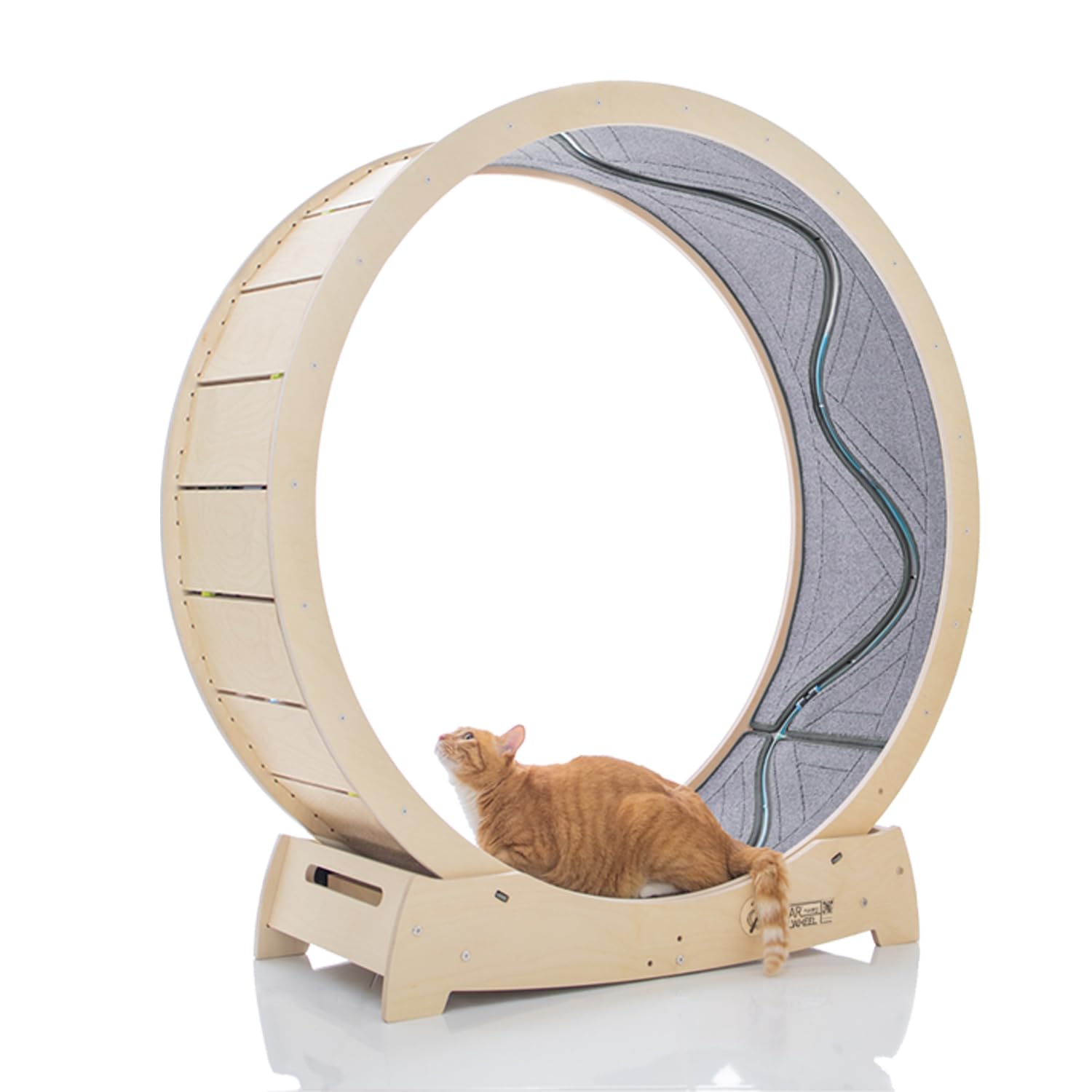 PETPNR キャットホイール 猫 猫用トレッドミル ランニングホイール Amazon | キャットホイール PETPNR 猫 回し車 キャットローラー