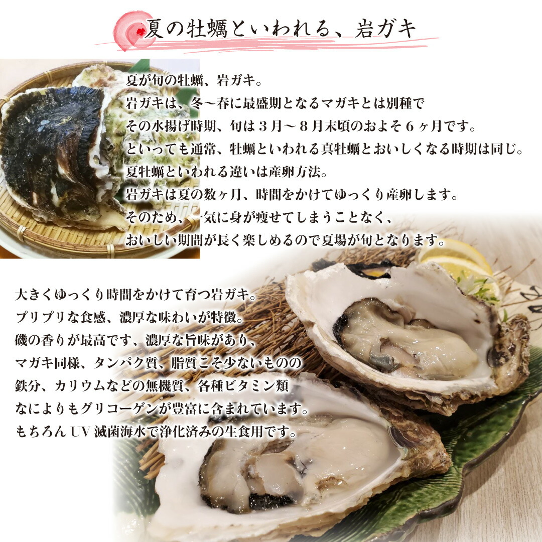 岩牡蠣 殻付き牡蠣 九十九島産 長崎県 産地直送