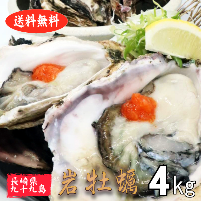 石ころ牡蠣 介殻随伴者牡蠣 造る地直送 長崎県 九十九アイランド産 4kg 系譜食代価 貨物輸送無料 陽気 活 かき 生ガキ 松明かき とれたて出生地直送 大野さんの育てたこだわり九十九島岩牡蠣 Klubwino Pl