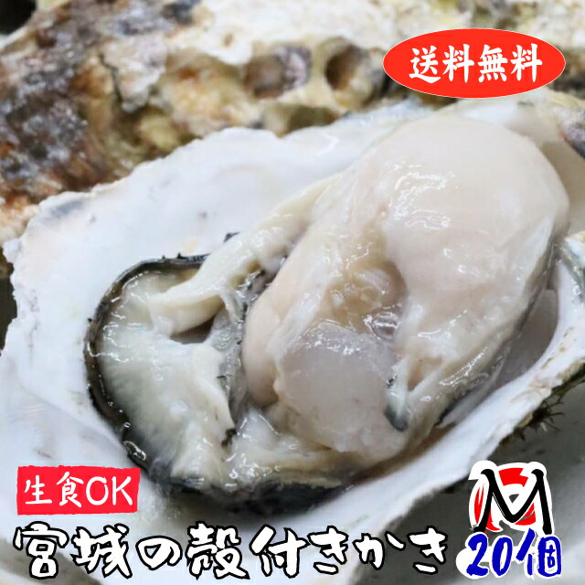 市場 殻付き牡蠣 生食用 宮城県産 産地直送 Mサイズ20個