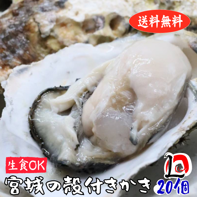 市場 殻付き牡蠣 産地直送 Lサイズ20個 宮城県産 生食用