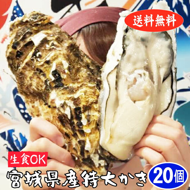 市場 殻付き牡蠣 宮城県産 産地直送 生食用 特大 LLサイズ20個