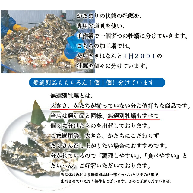 市場 殻付き牡蠣 産地直送 Lサイズ20個 宮城県産 生食用