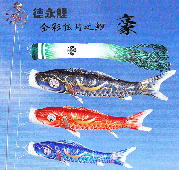 金彩弦月之鯉 豪 5m6点セット 庭用 徳永鯉のぼり こいのぼり 大型セット 庭