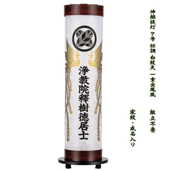 伸縮提灯 盆提灯 7号 桜調 鳳凰 家紋 戒名入り 和紙白紋天 一重張り 組立不要 ワンタッチ収納 おしゃれ モダン 霊前灯 初盆 御供 1個 送料無料 八女提灯 樹峰作|節句人形と盆提灯 人形の松川