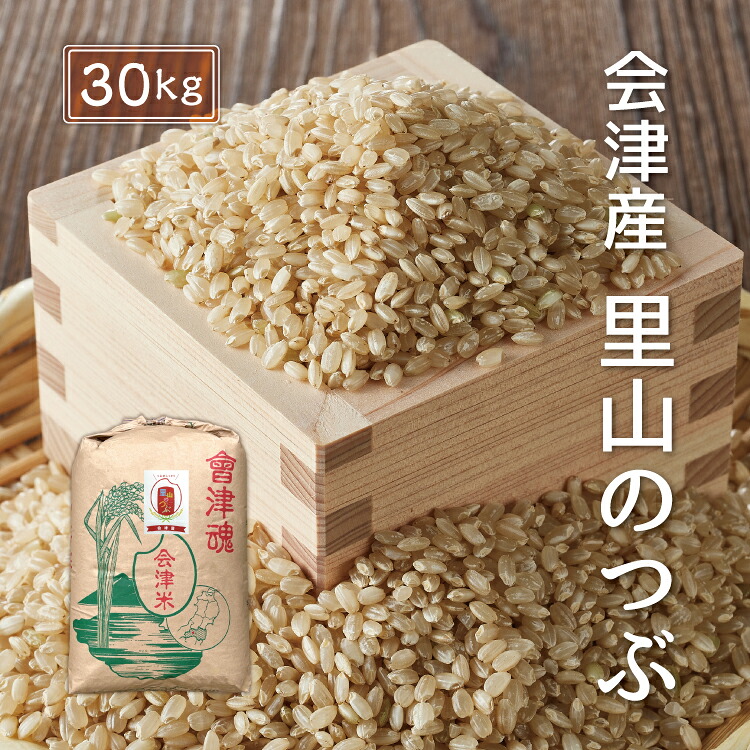 令和7年産 会津産 里山のつぶ 【玄米】 30kg ※四国まで 送料無料 お米 福島 あいづ松川|会津のお米 あいづ松川