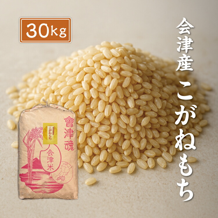 令和7年産 会津産 こがねもち 【玄米】 30kg ※四国まで 送料無料 お米 もち米 福島 あいづ松川｜会津のお米　あいづ松川 14,760円