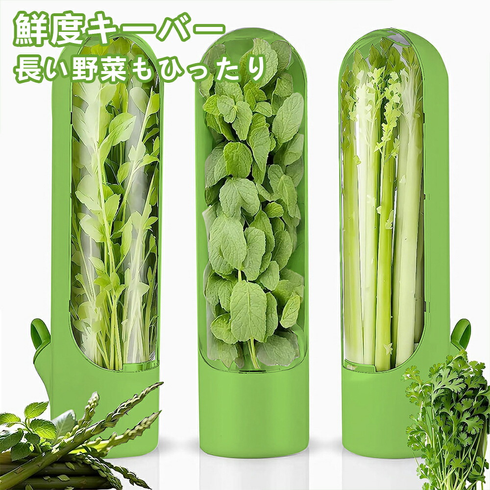 楽天市場】野菜ストッカー 野菜保存容器 鮮度キーバー キッチン用品