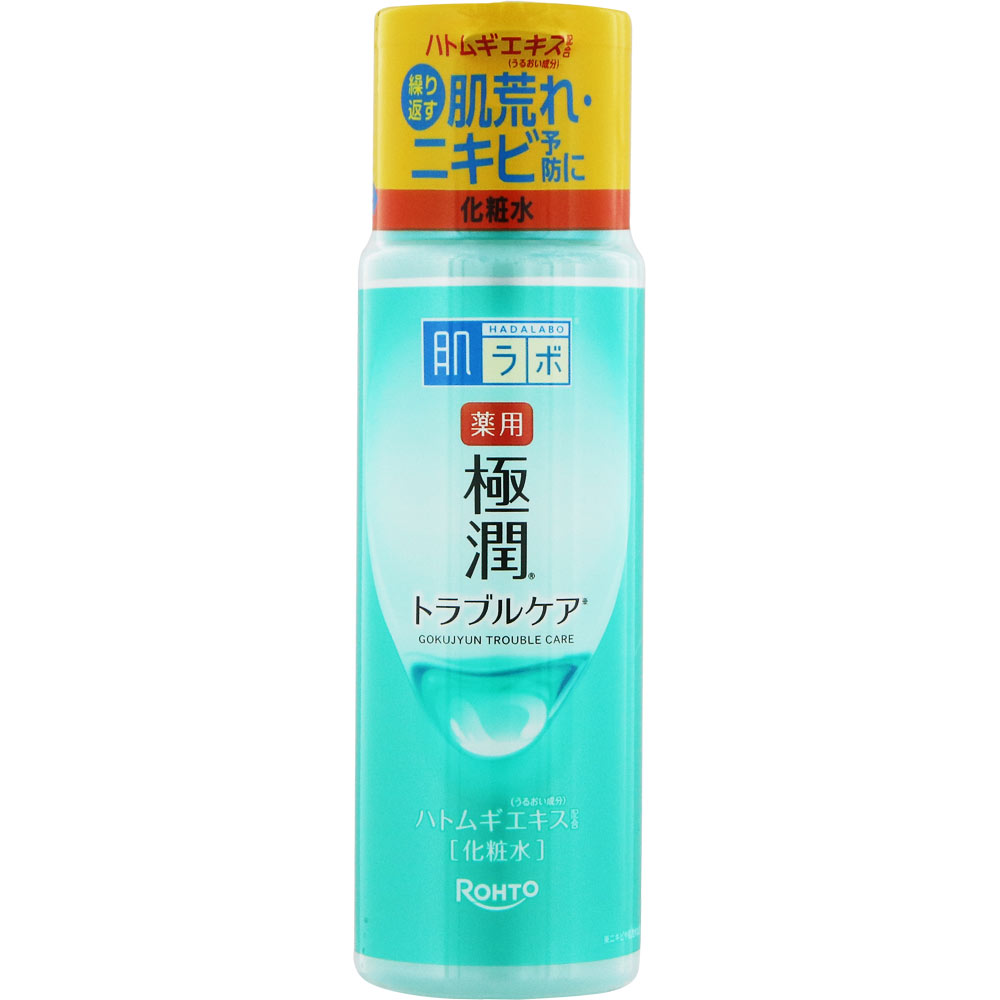 楽天市場】ロート製薬 肌ラボ 極潤ヒアルロン液N 170ml