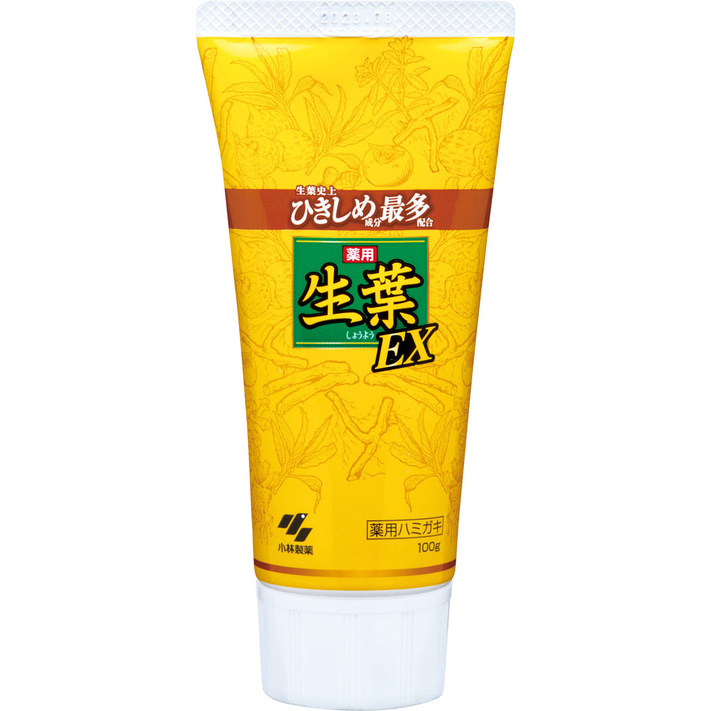 小林製薬 生葉EX １００ｇ （医薬部外品） 歯ブラシ