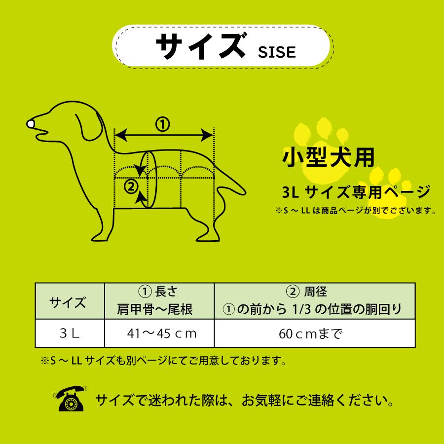 予約中 バランスコルセット 3l専用ページ アニマルオルソジャパン メッシュ ダックス 小型犬 リード付 犬用 介助 送料無料 ヘルニア 変形性脊椎症 Whitesforracialequity Org