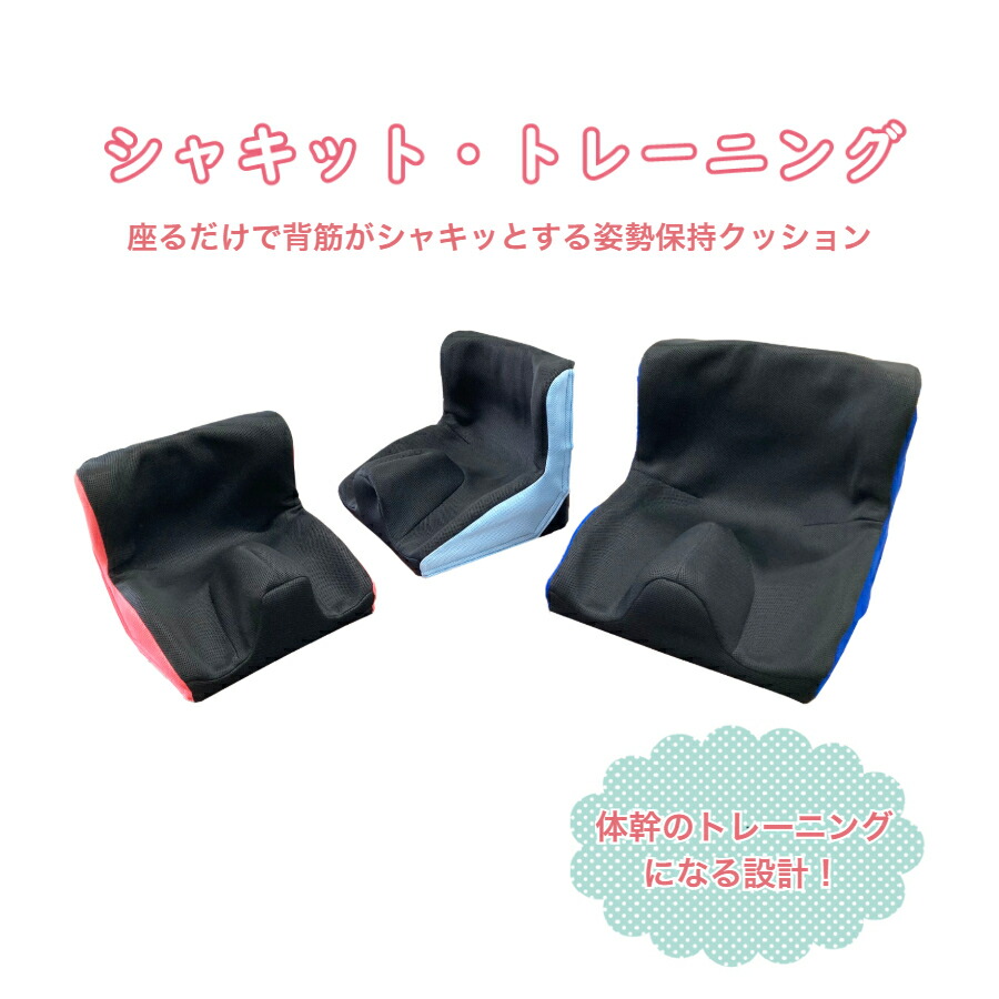 シャキット・トレーニング   座位守りつづける 座位 座布団 腰痛 肩こり 骨盤帯 前上滑り止めること 兼ね合い 腰掛け イス 腰掛け 車いす 車椅子 車イス 事務室 授業時間 併設 ちびっ子 こども ちびっ子 老いらく 座る 身のこなし 背筋 前かがみ 疲労困憊 事務 修する 体幹 インナーマッスル