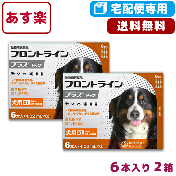 楽天市場 B 最大350円offクーポン 送料無料 フロントラインプラス犬用 Xl 40 60kg 1箱6本入 2箱セット 動物用医薬品 宅配便 ノミ ダニ シラミ駆除 10 12 月 10 00 10 19 月 9 59 松波動物メディカル通信販売部