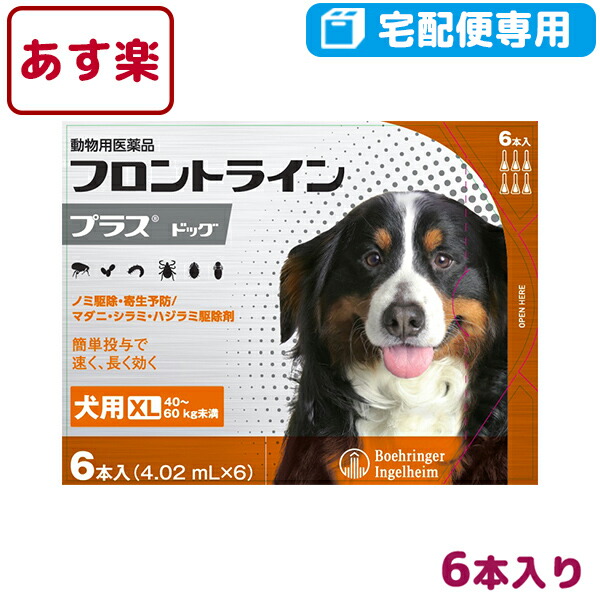 楽天市場 B フロントラインプラス犬用 Xl 40 60kg 1箱6本入 動物用医薬品 宅配便 ノミ ダニ シラミ 駆除 松波動物メディカル通信販売部