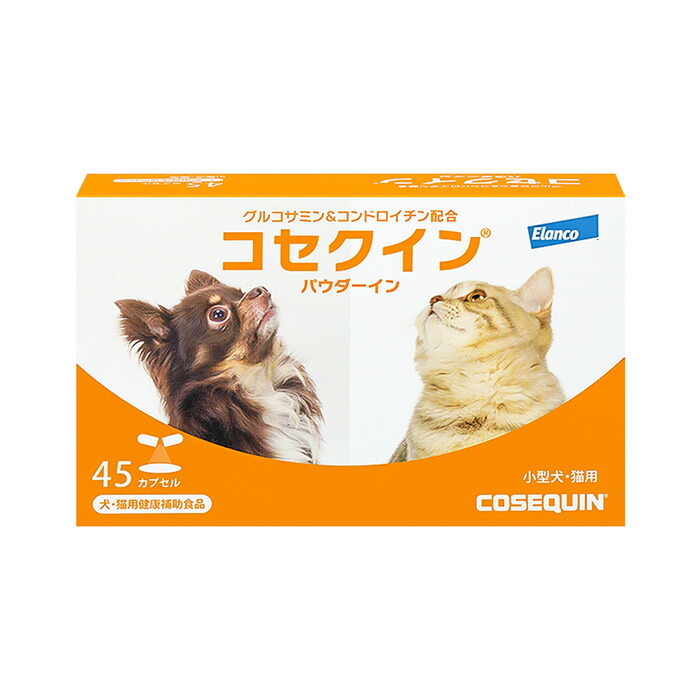 楽天市場】【C】【最大400円OFFクーポン】マイトマックス