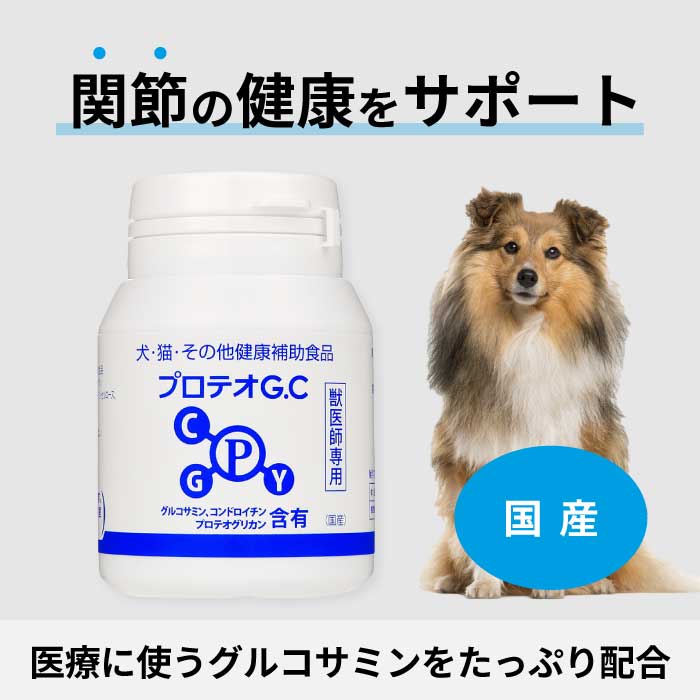 楽天市場】犬用 コセクイン タブレット 120粒 (関節の健康をサポート