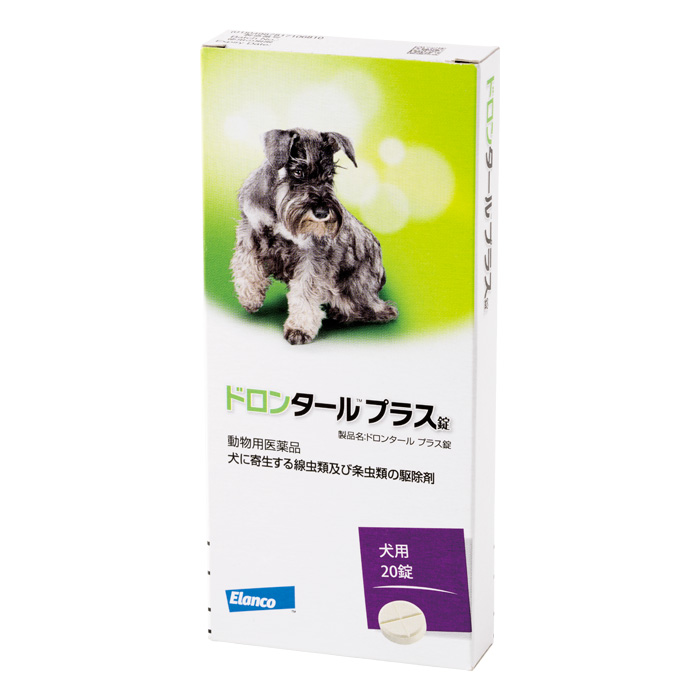 当院獣御医者さん発展《人用加えること》Dr.ネコアレ 内辺から「整える」乳酸菌サプリ