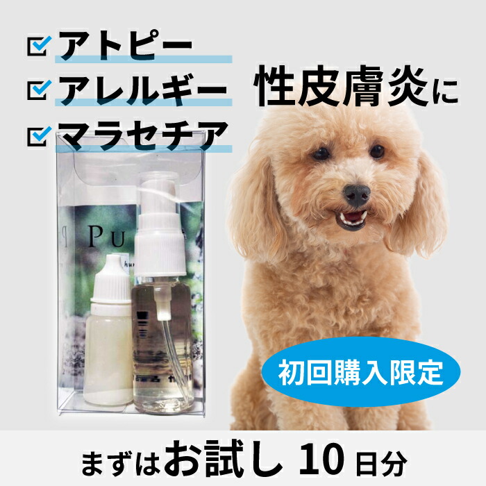 楽天市場】【C】【最大400円OFFクーポン】ヒルズ 犬用 オール