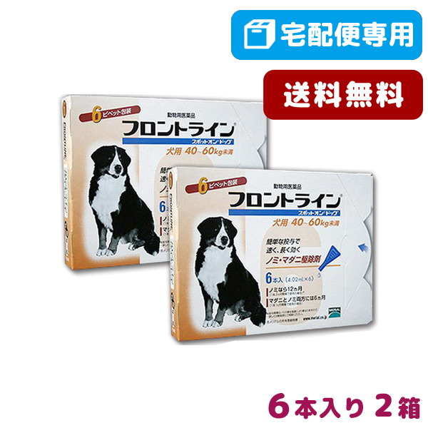 印象のデザイン B 犬用 松波動物メディカル通信販売部 B 使用期限 22 09 30以降 02月現在 B 2箱セット フロントラインスポットオン犬用 フロントラインスポットオン犬用 動物用医薬品 40 60kg 40 60kg 5 Offクーポン対象 1箱6本入 3