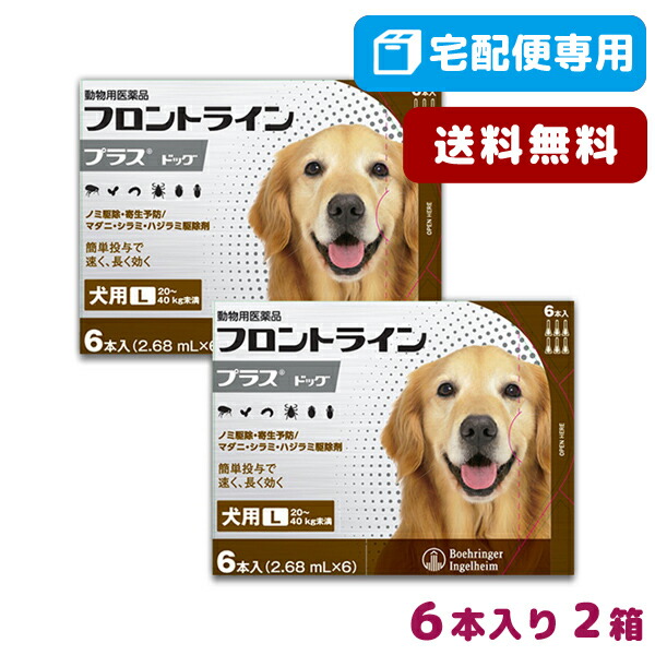 フロントラインプラス犬用 L 40kg 1箱6本入2箱セット トレンド