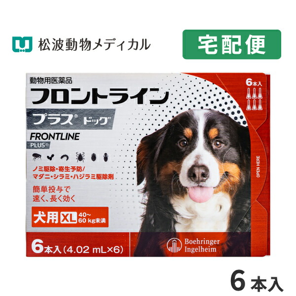 当院獣御医者さん発展《人用加えること》Dr.ネコアレ 内辺から「整える」乳酸菌サプリ